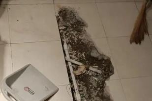 右江卫生间漏水检测电话